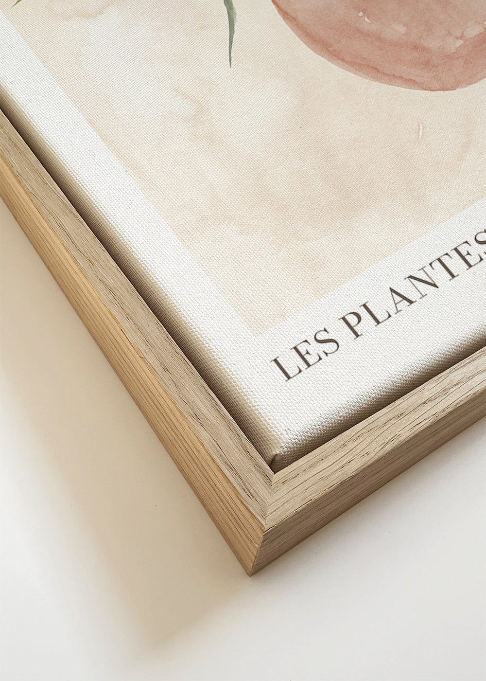 Botanische poster: potplant aquarel