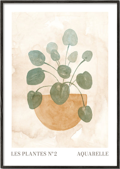 Les plantes Nº2
