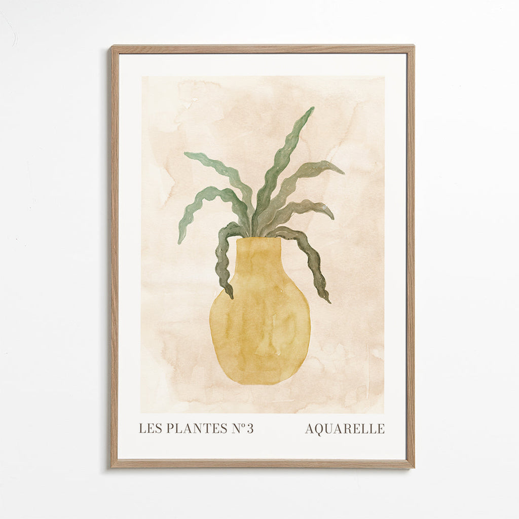 Les plantes Nº3