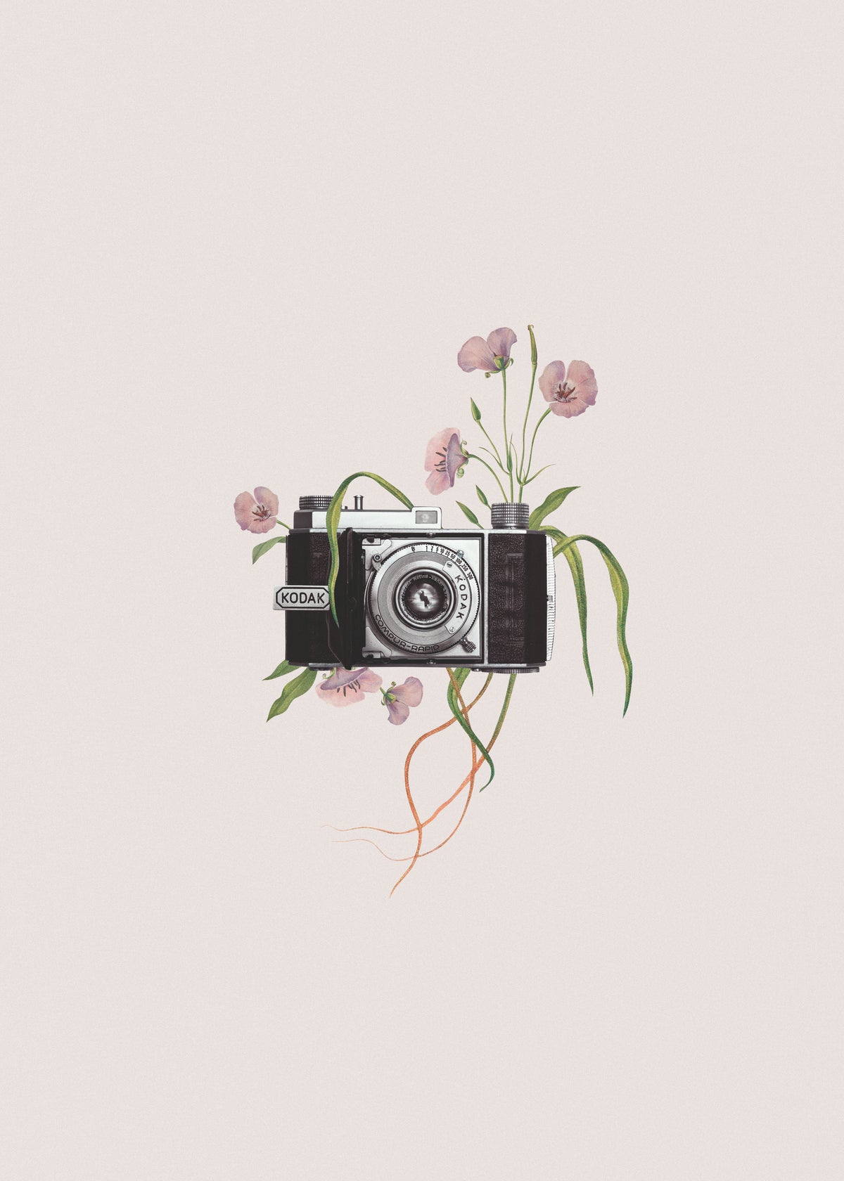 Floral kodak camera - Unframed art print