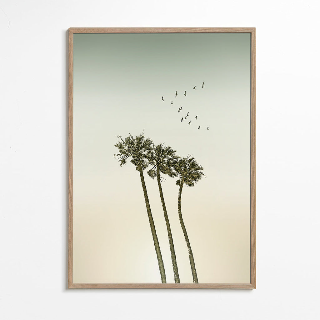 Landschap kunst: palmbomen bij zonsondergang