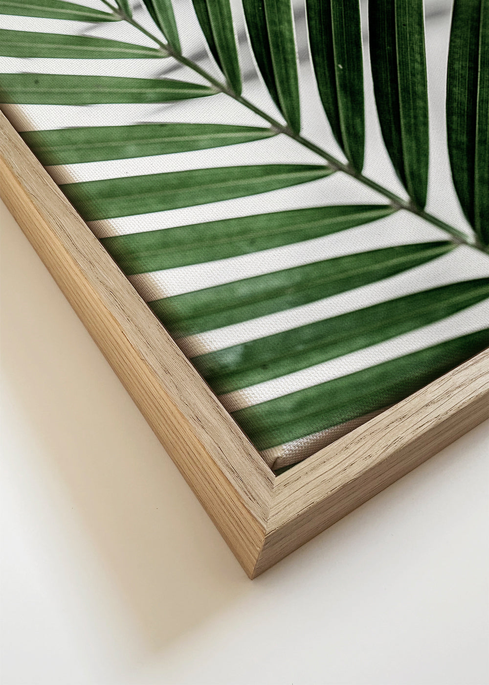 Botanische print met palmblad in close-up