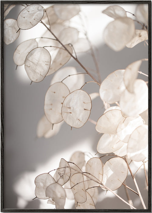 Botanische print transparante bladeren foto