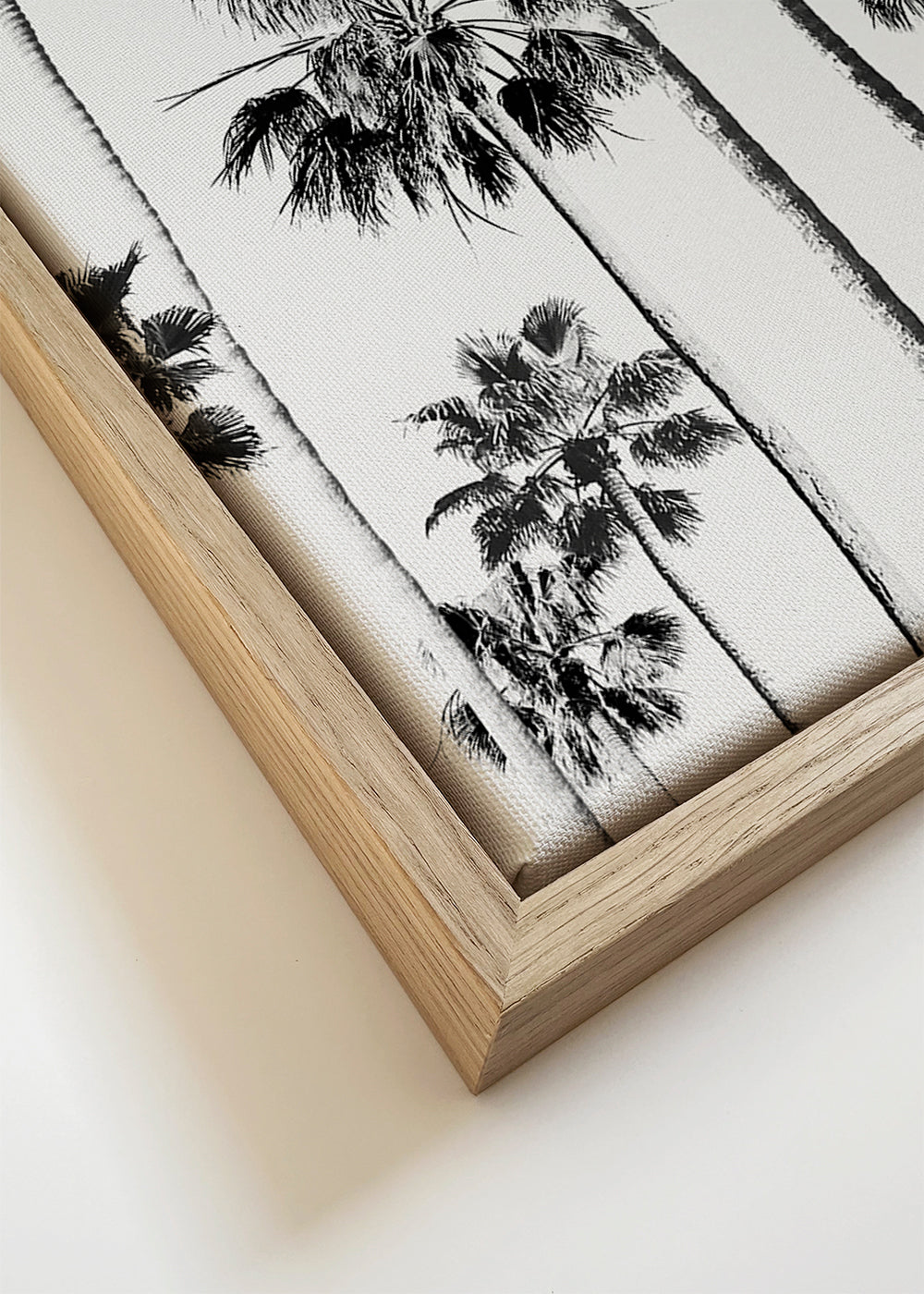 Zwart-wit kunst met hoge palmen