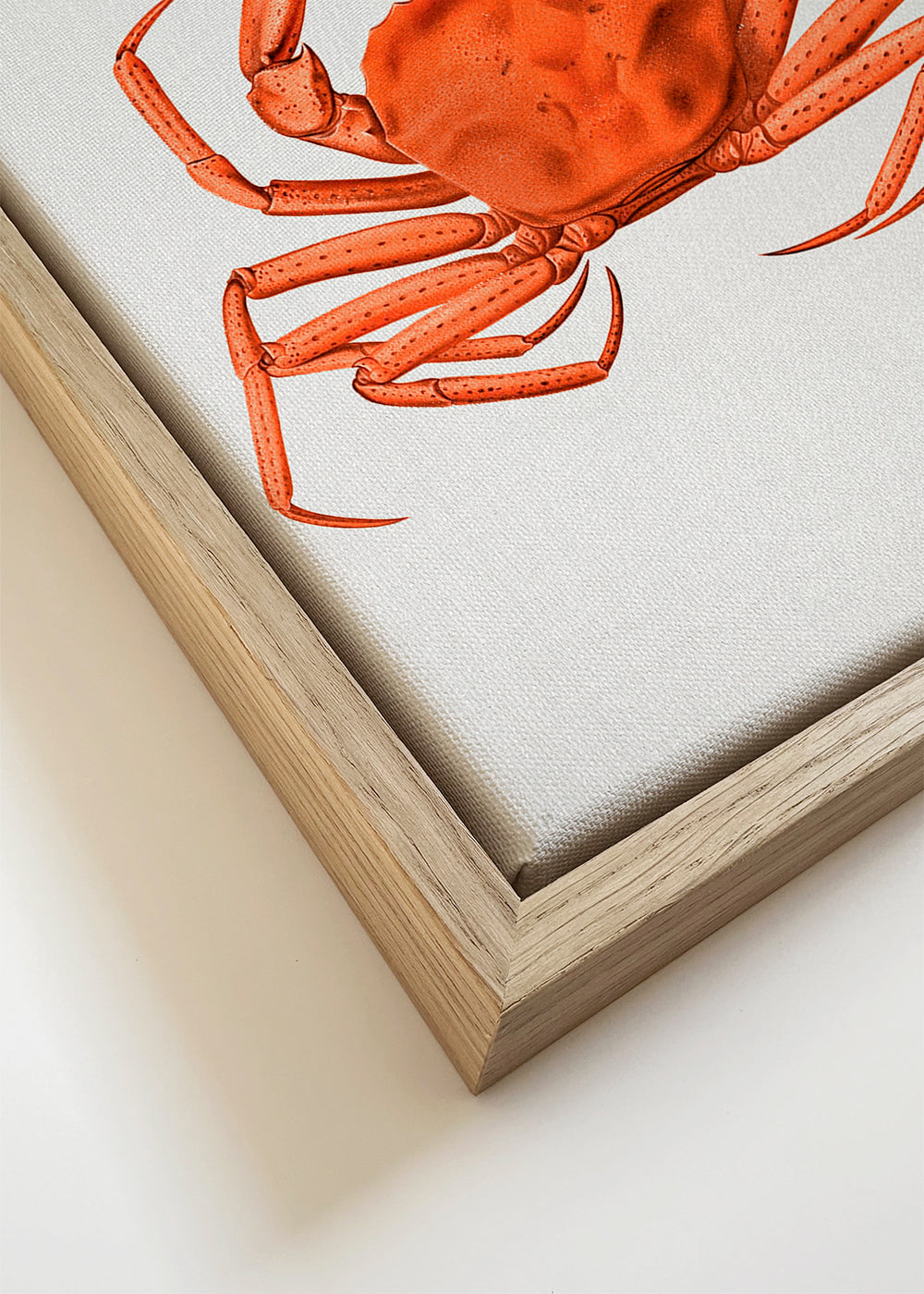 Artwork oranje aquarel krab