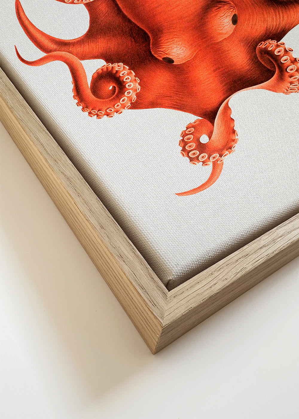 Inktvisillustratie in rood