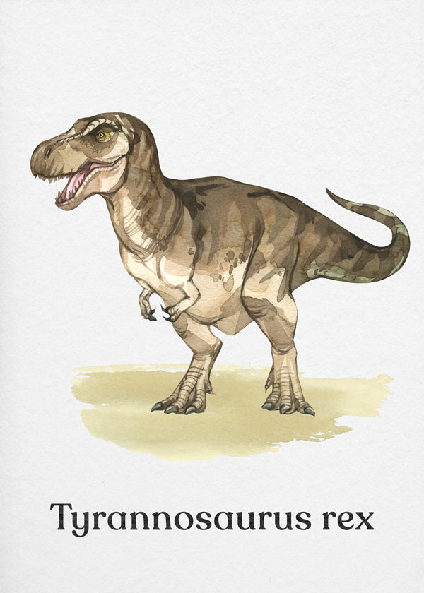 Artwork Tyrannosaurus rex illustratie