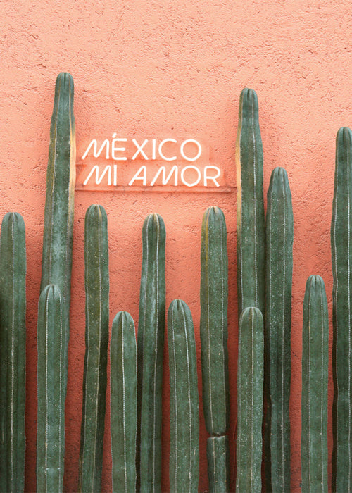 Botanische print Mexico cactus met neon