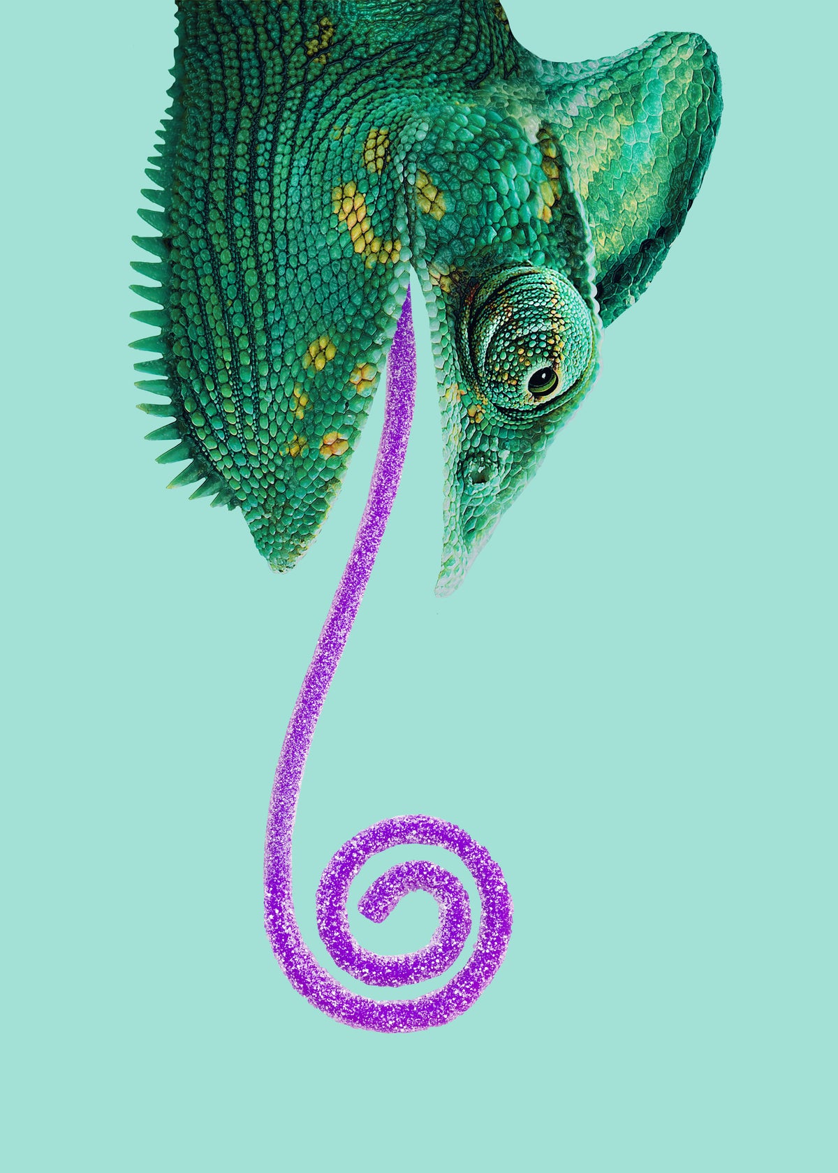 Candy Chameleon - Unframed art print