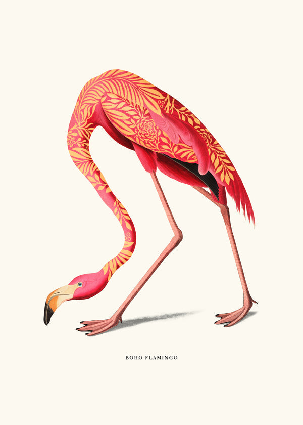 Boho flamingo illustratie