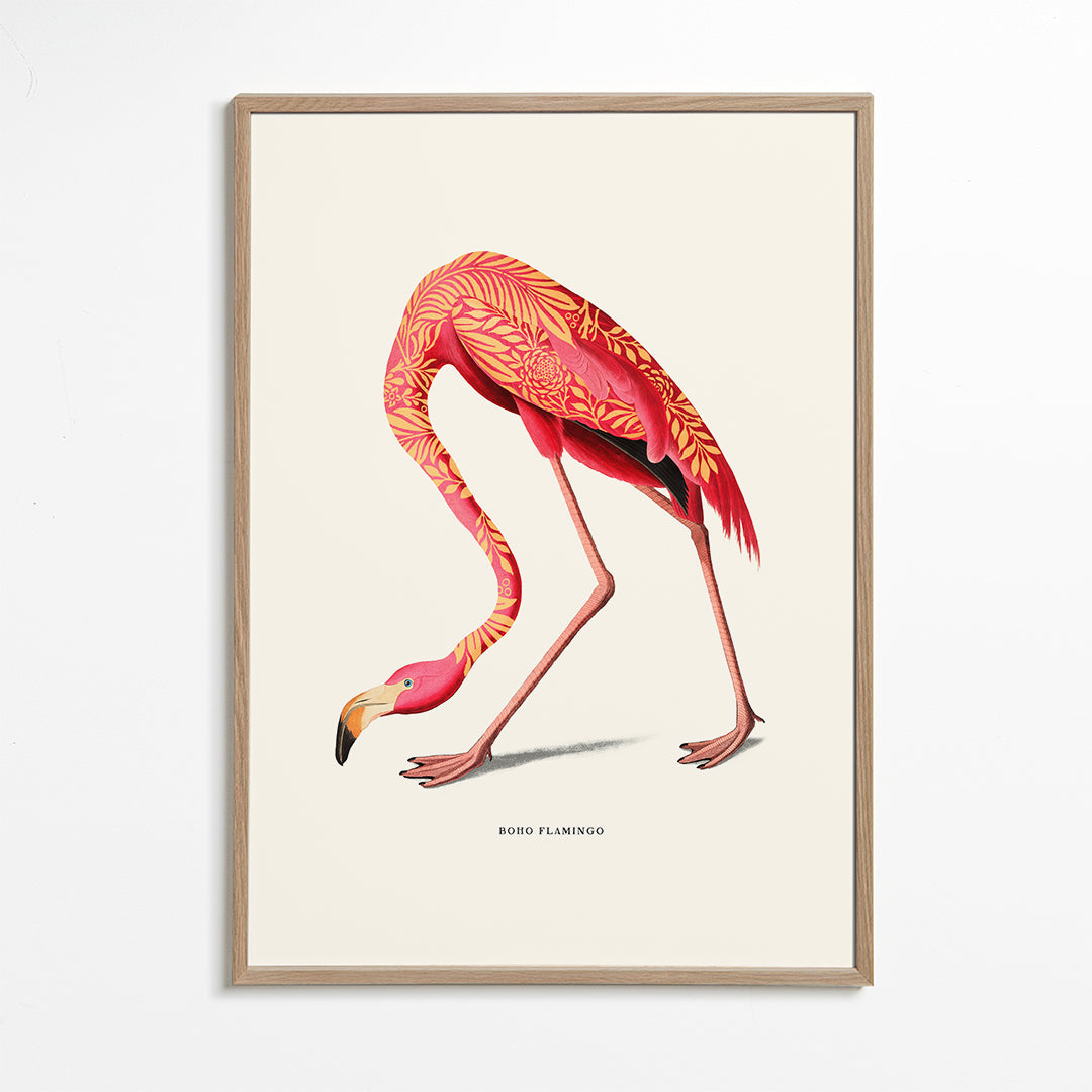 Boho flamingo illustratie