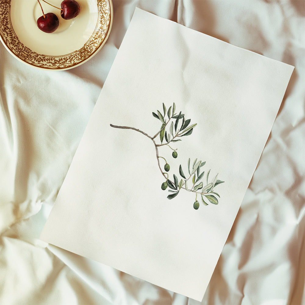 Botanische poster olijftak studie