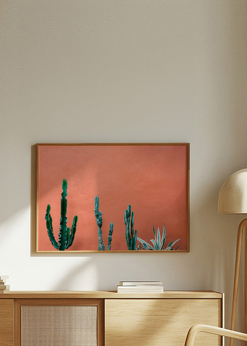 Botanischer Druck: Kakteen an Terrakottawand – Product1