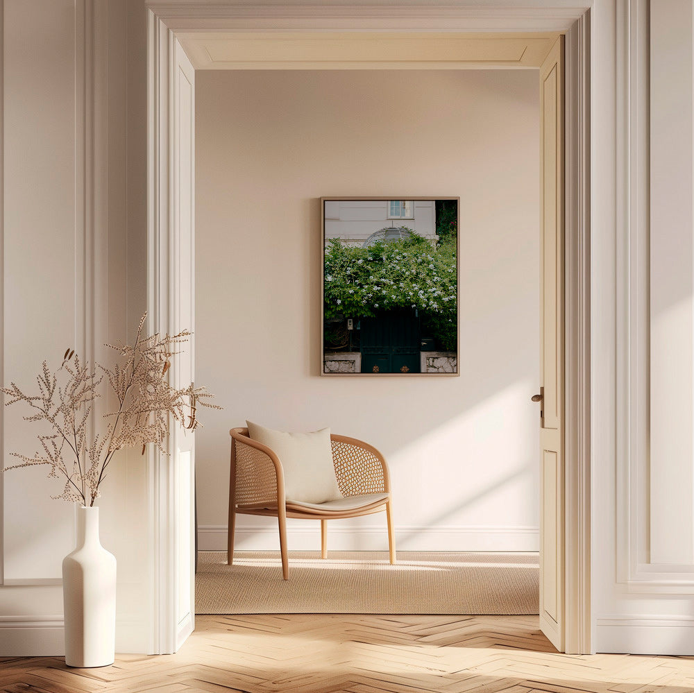 Impression botanique: vigne blanche sur porte – Canvas1