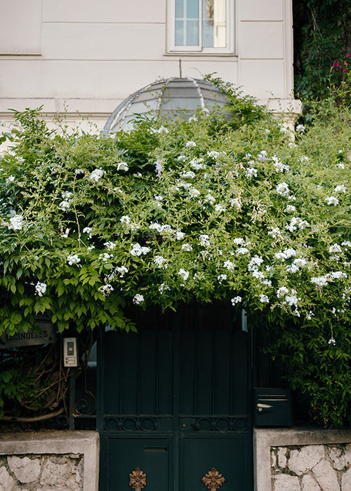 Botanische print met witte klimop bij deur
