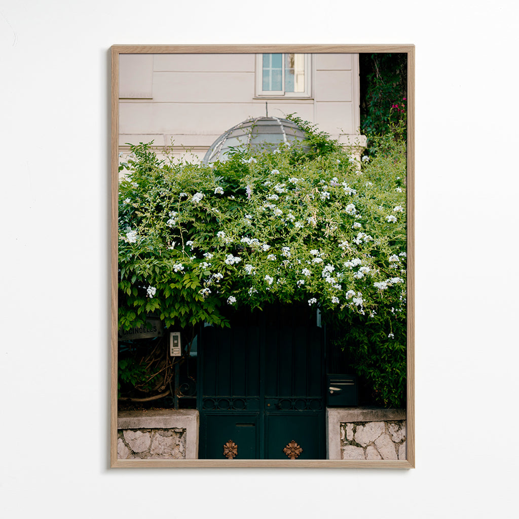 Impression botanique: vigne blanche sur porte – Oak Frame