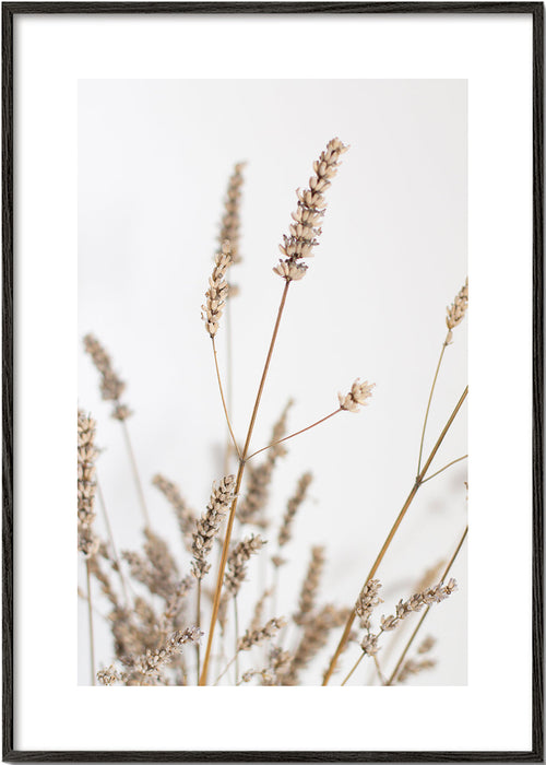 Botanische print: gedroogde aren verticaal
