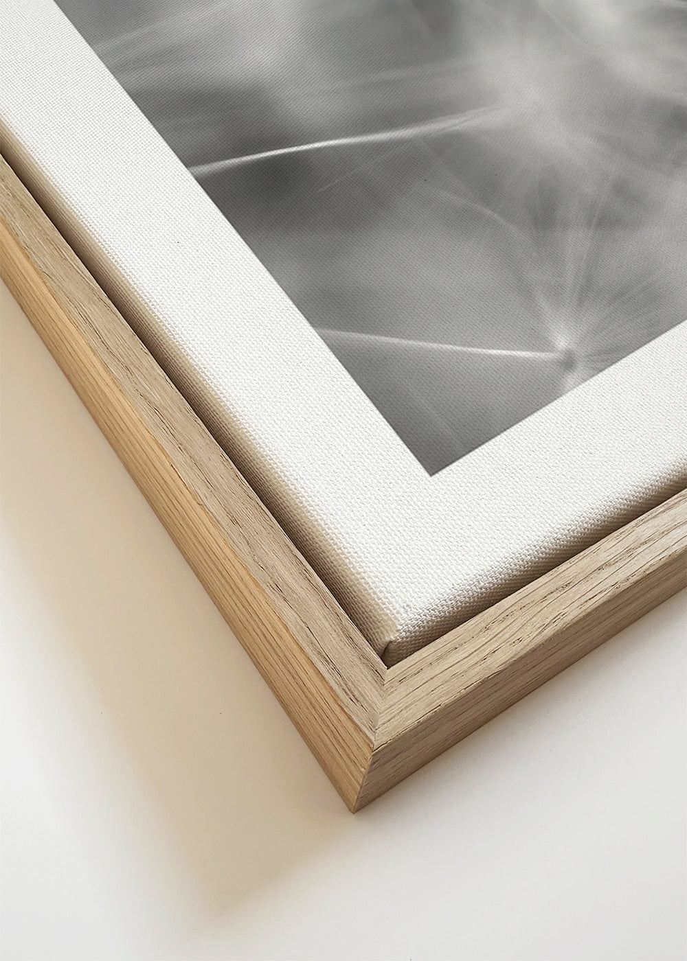 Botanische poster: paardenbloem close-up