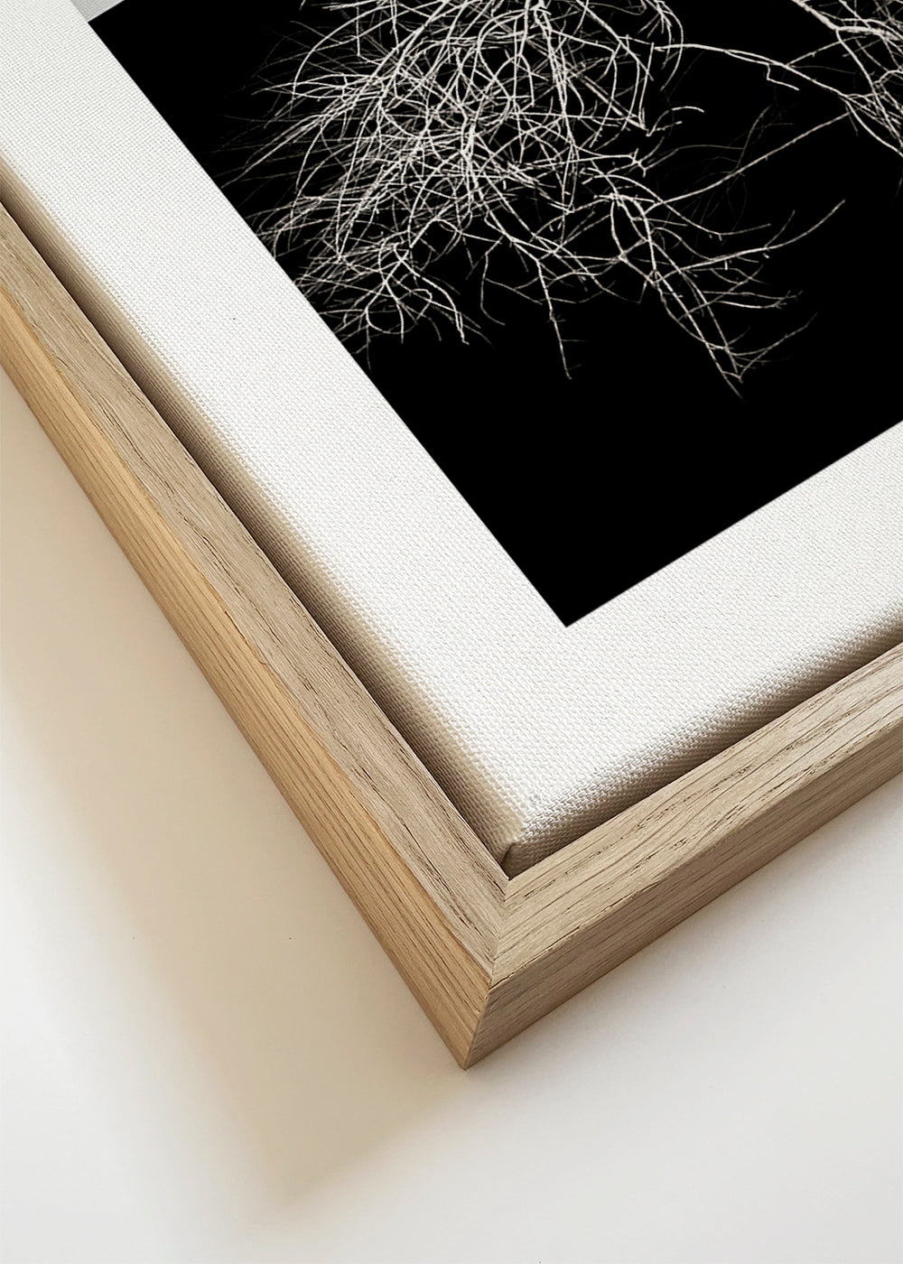 Botanische poster met boom en grafische wortels