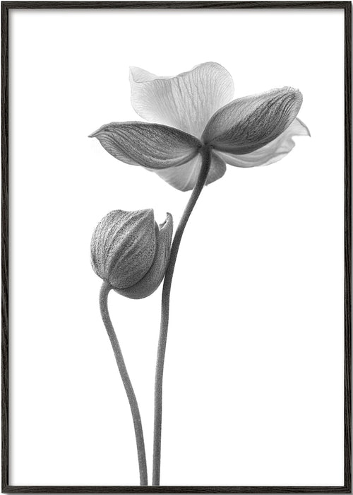 Botanische print in zwart-wit