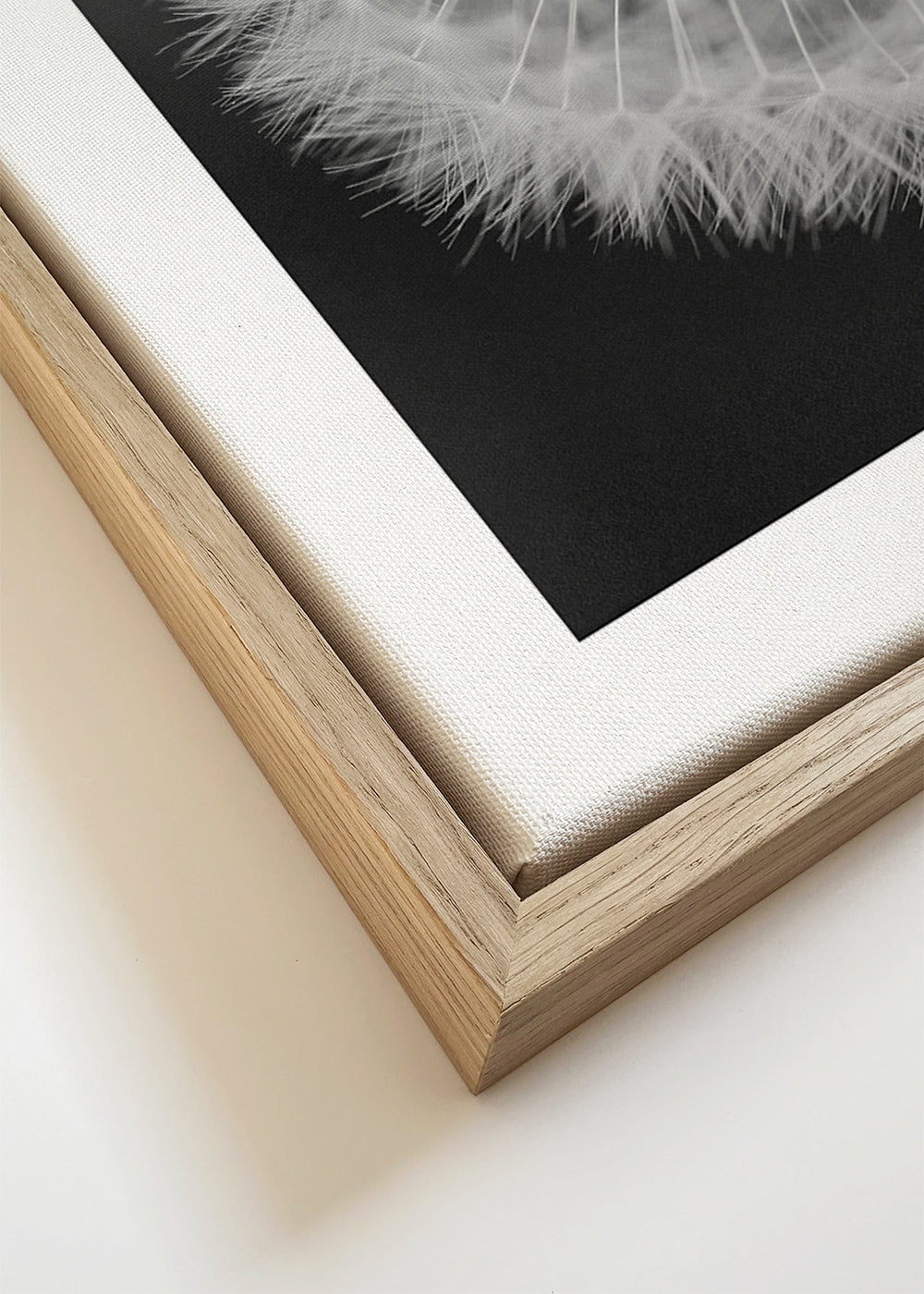 Botanische poster paardenbloem close-up