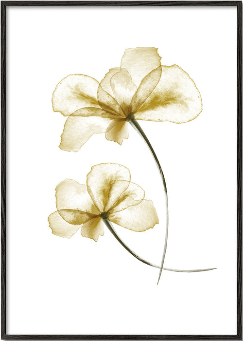 Botanische poster met geperste gouden bloemen