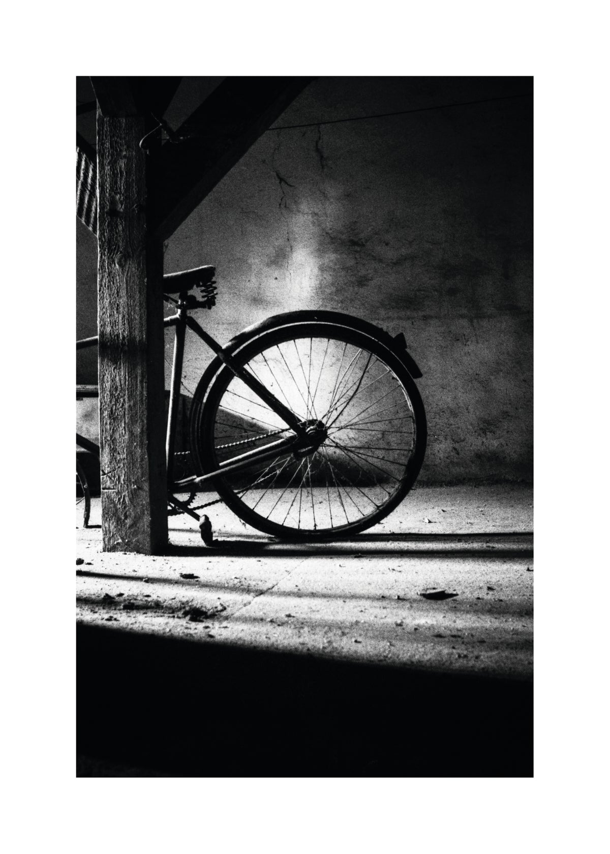 No. 315 - Unframed art print