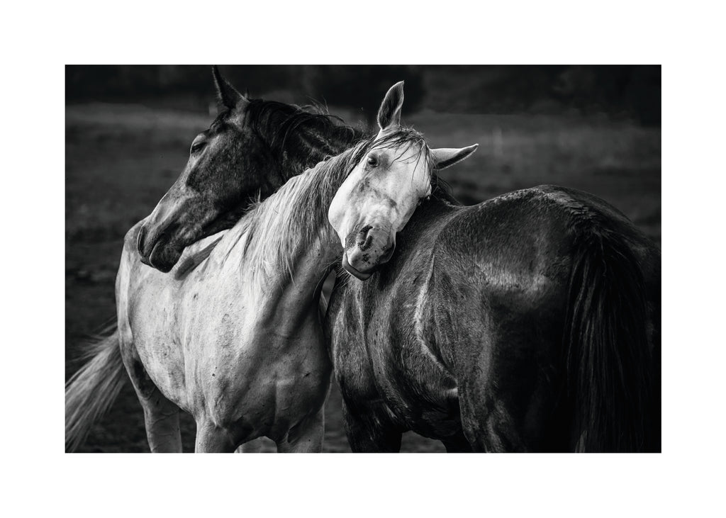 Warm rain - Unframed art print