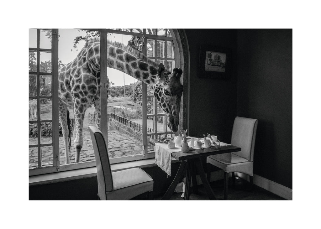 Breakfast time - Unframed art print