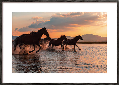 Kunstwerk paarden rennen door water bij zonsondergang