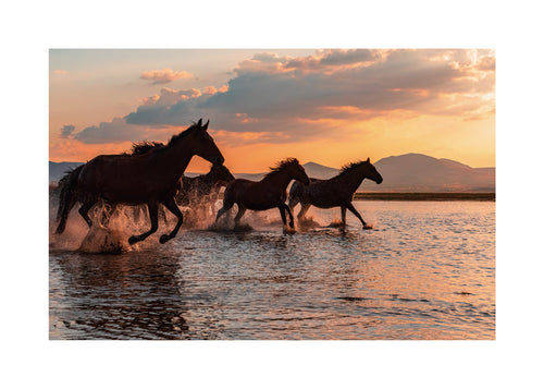 Kunstwerk paarden rennen door water bij zonsondergang