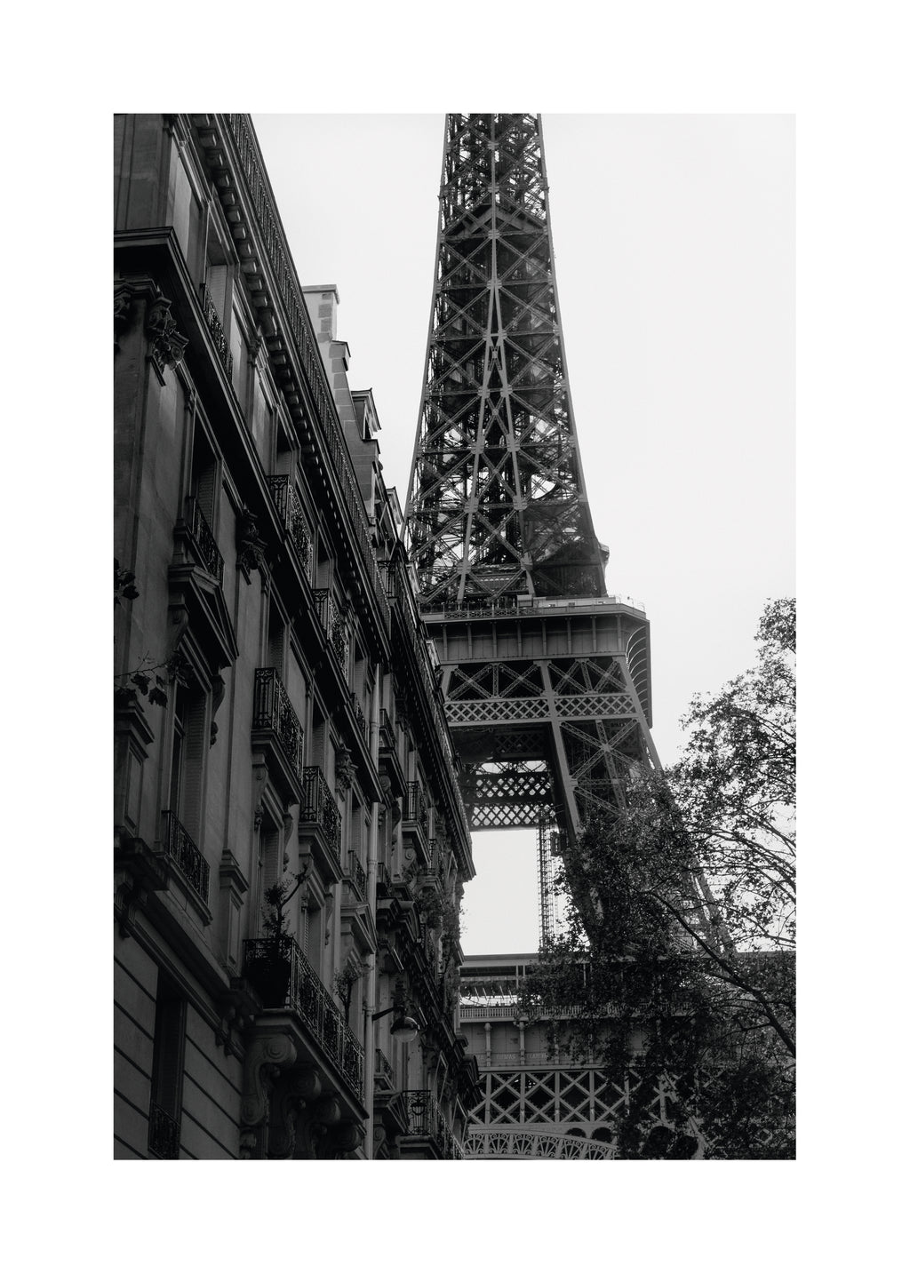 Eiffel Tower III - Unframed art print