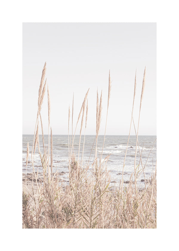 Landschapsposter met strandgras