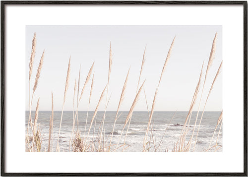 Landschapsafbeelding met duingras