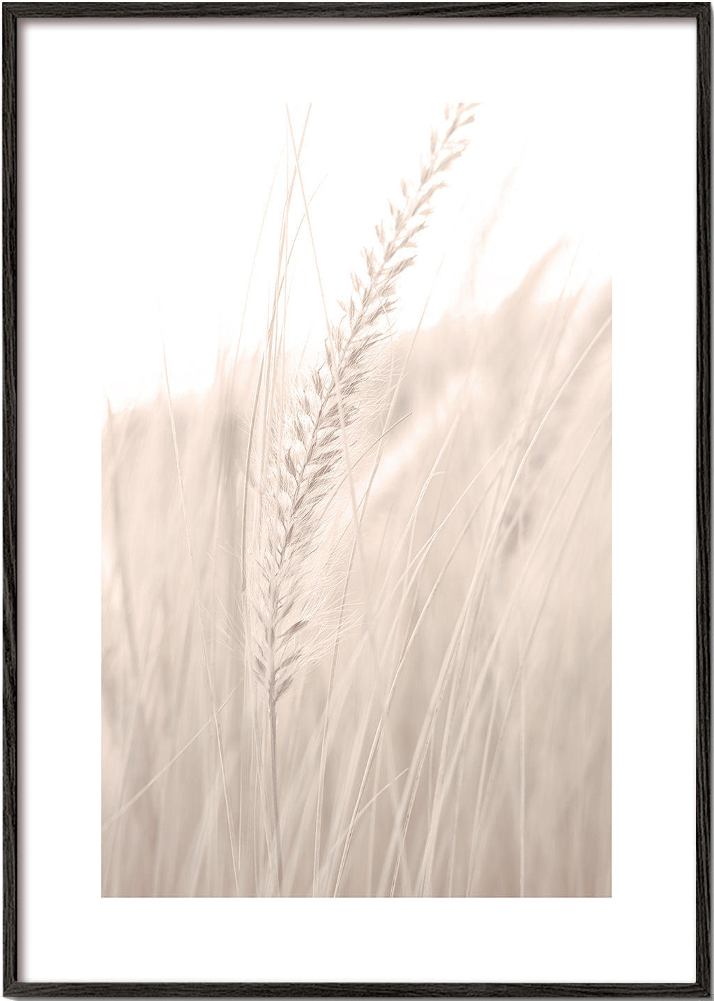 Grass V