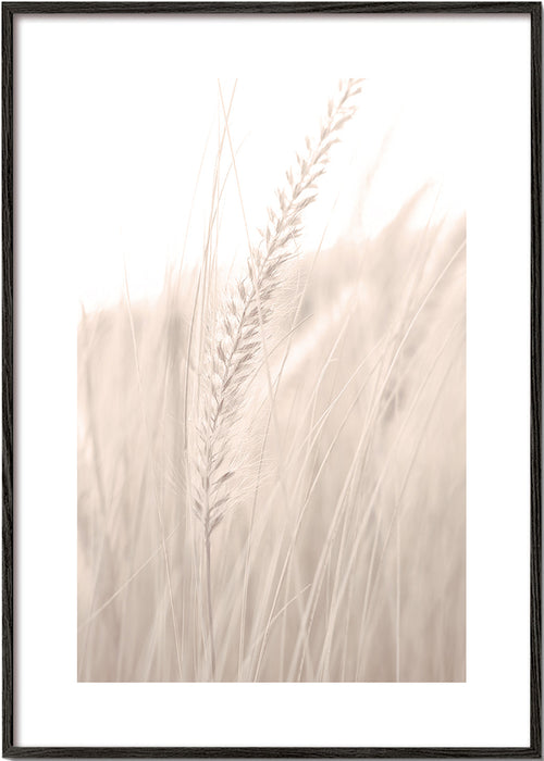 Botanische poster: halmen in zachte tinten
