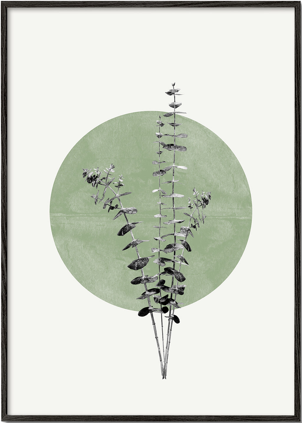 Eucalyptus and Green Moon