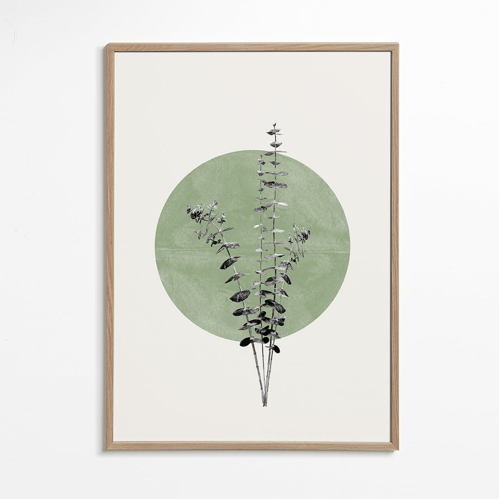 Eucalyptus and Green Moon