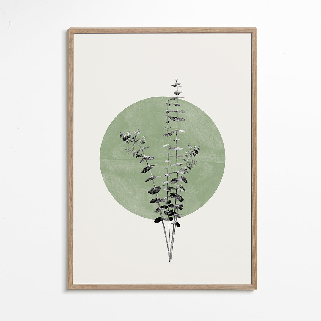 Eucalyptus and Green Moon
