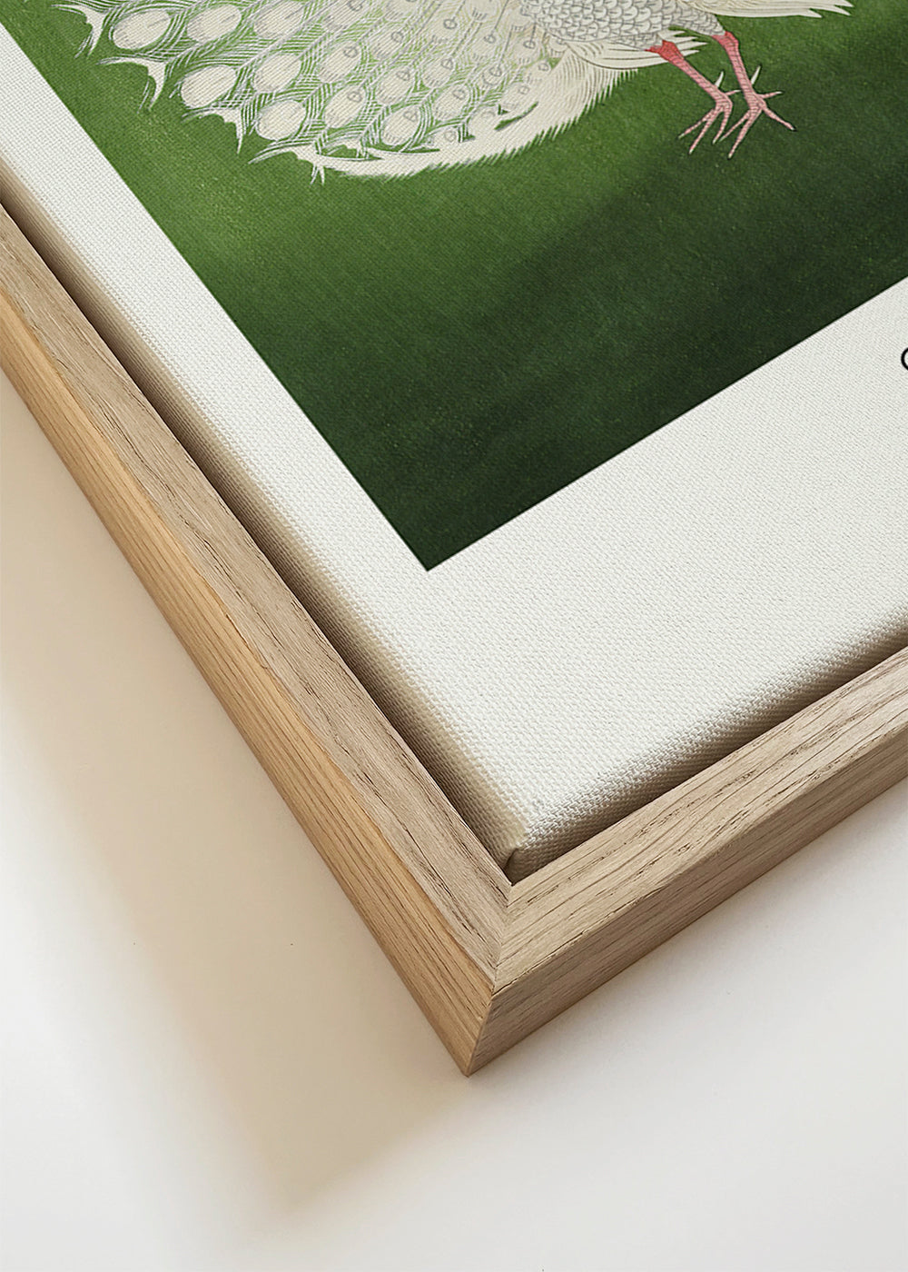 Kunstwerk witte pauw op groene achtergrond
