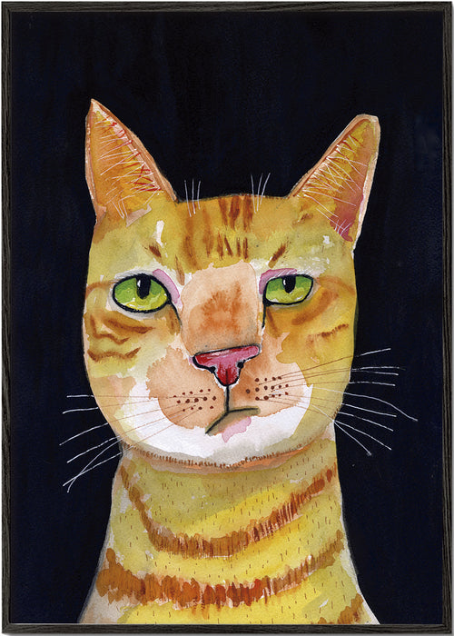Portret van oranje kat