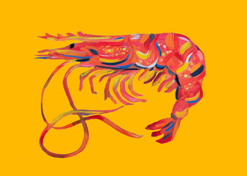Keuken kunst garnalenillustratie op geel