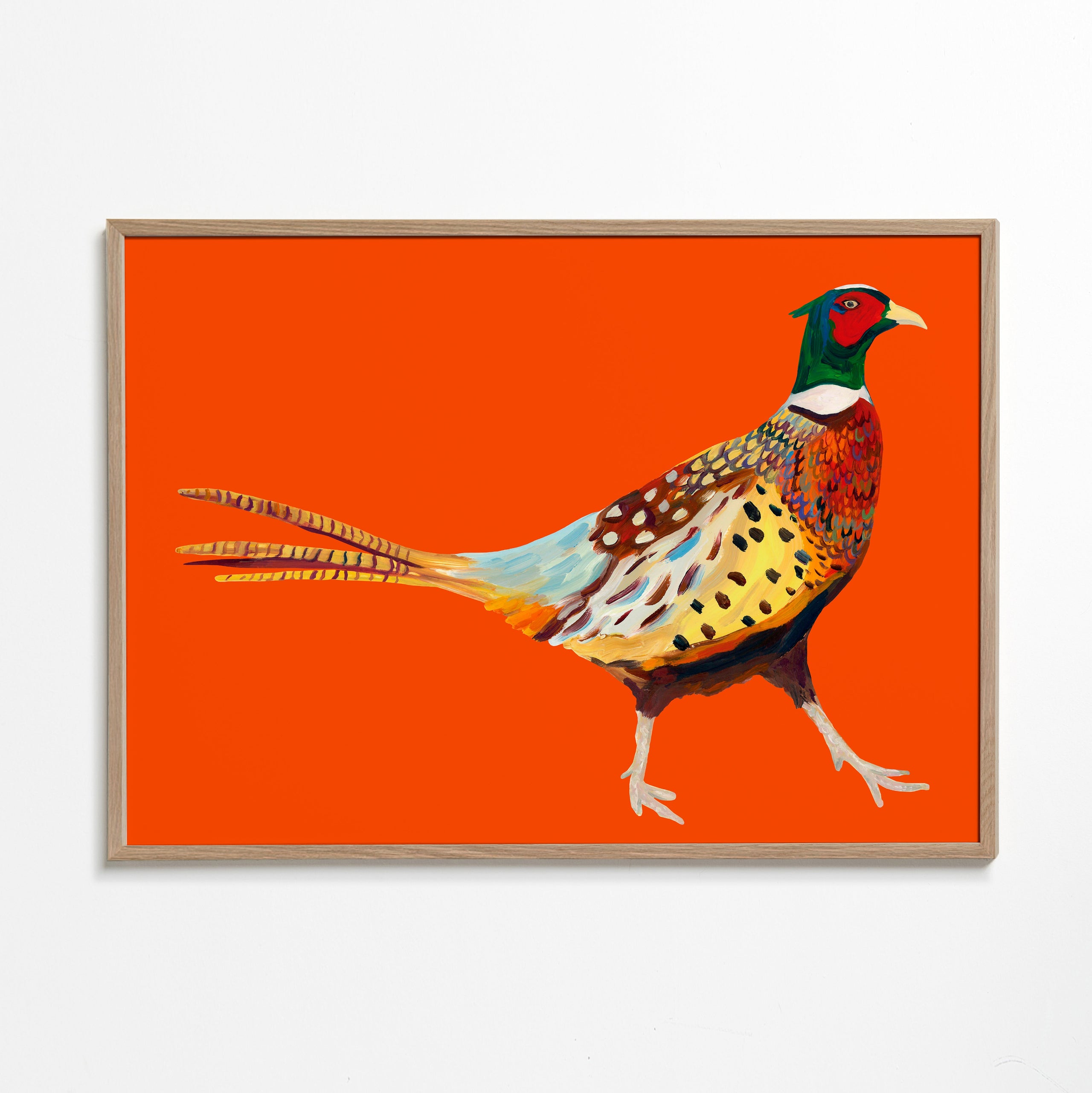 Strutting Pheasant On Orange
