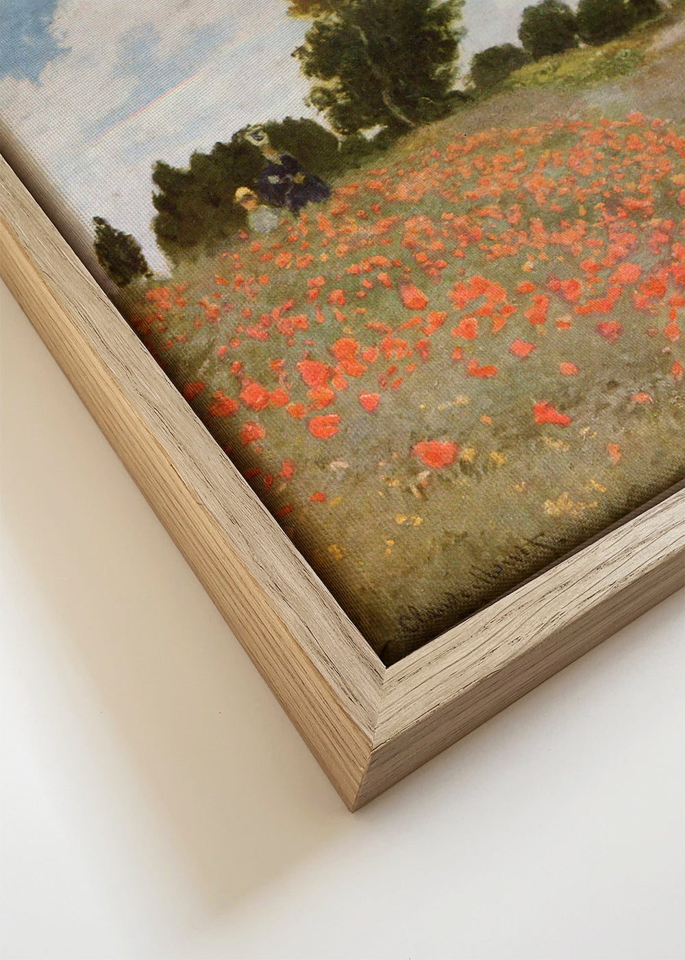 Botanische poster met klaprozenveld