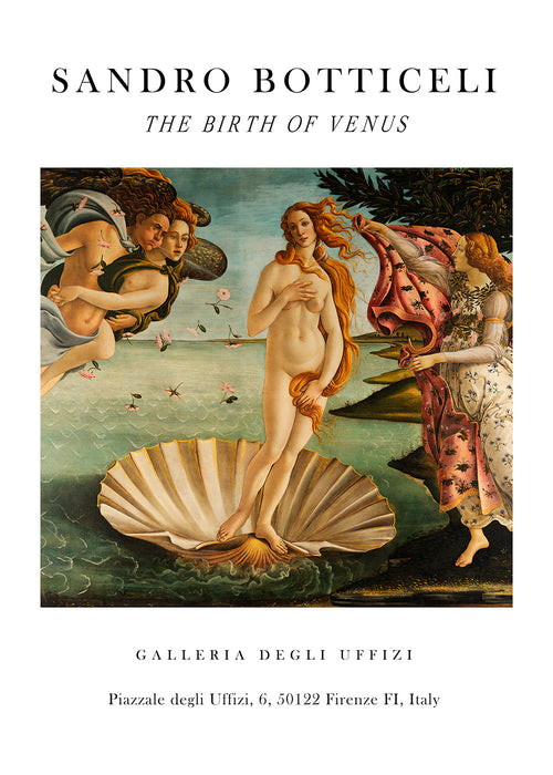 Klassieke Geboorte van Venus print van Botticelli