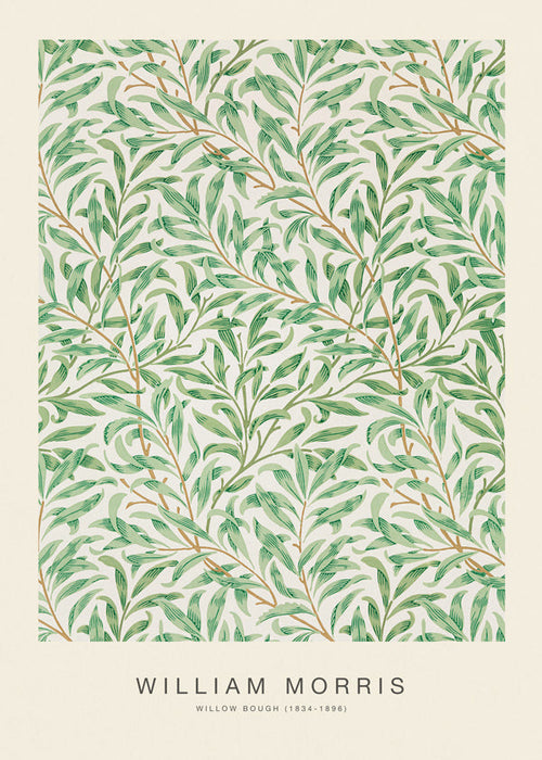 Botanische poster Willow Bough bladeren