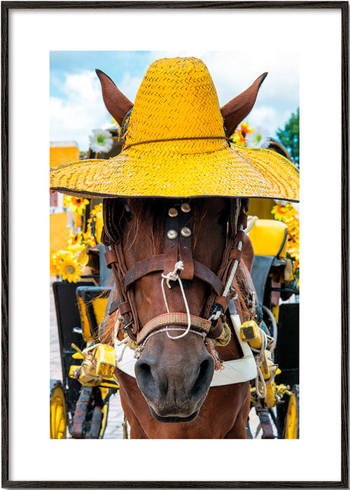Paardportret met gele hoed – Black Frame