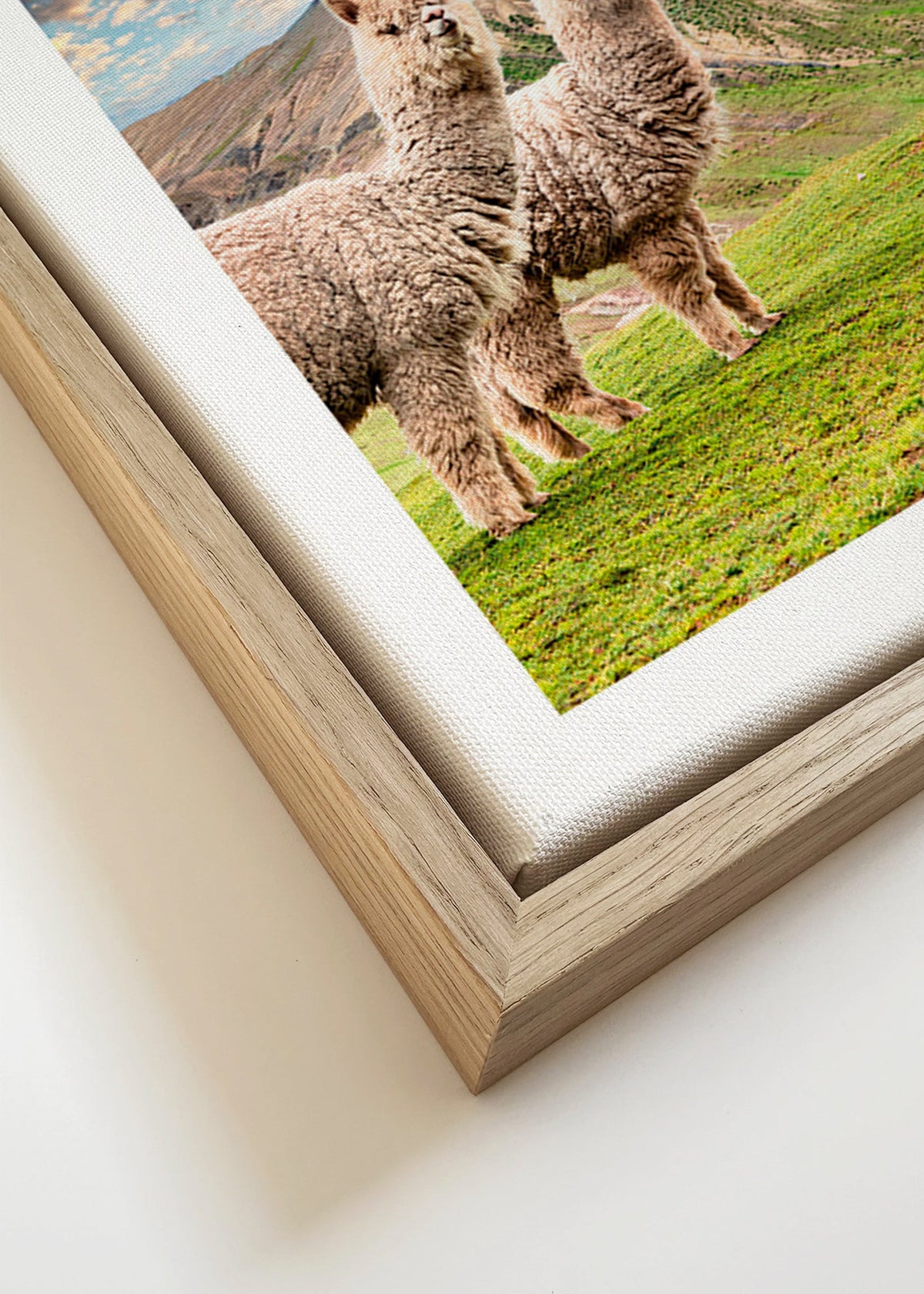 Œuvre alpacas sur la montagne arc-en-ciel – Canvas detail