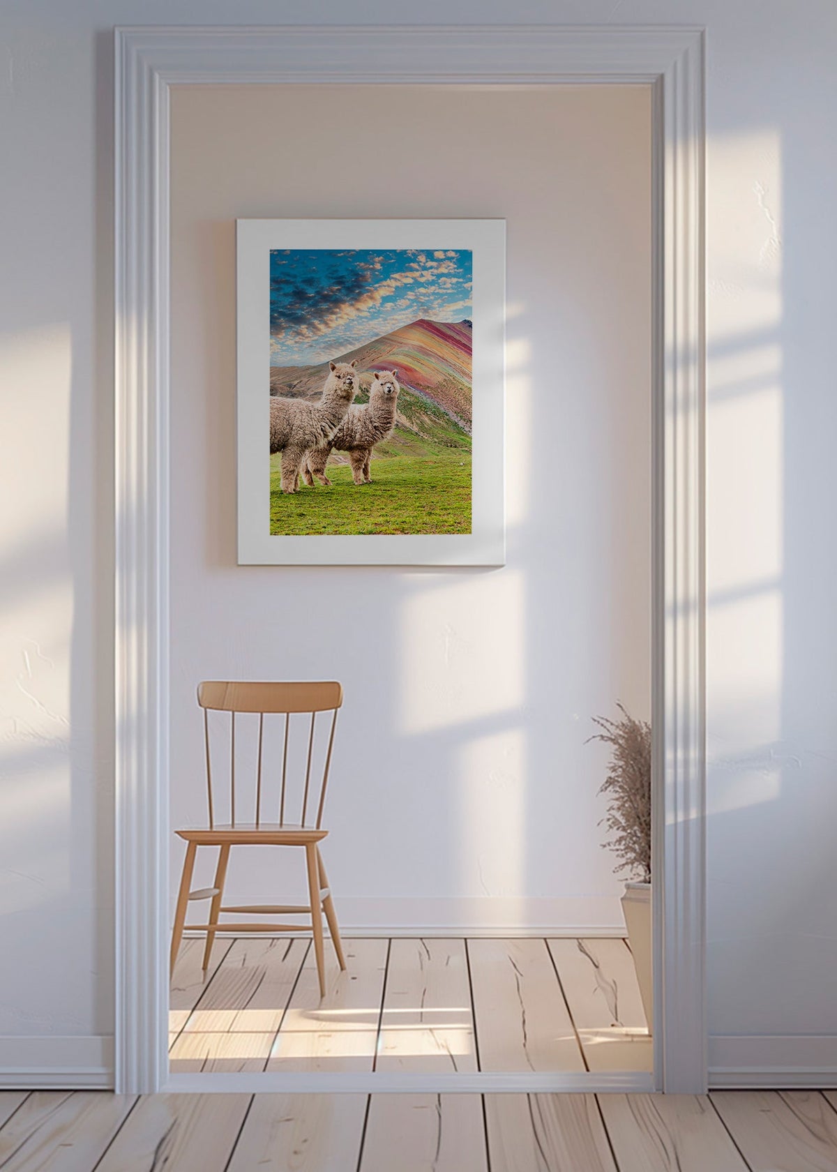 Artwork alpacas bij regenboogberg – Canvas