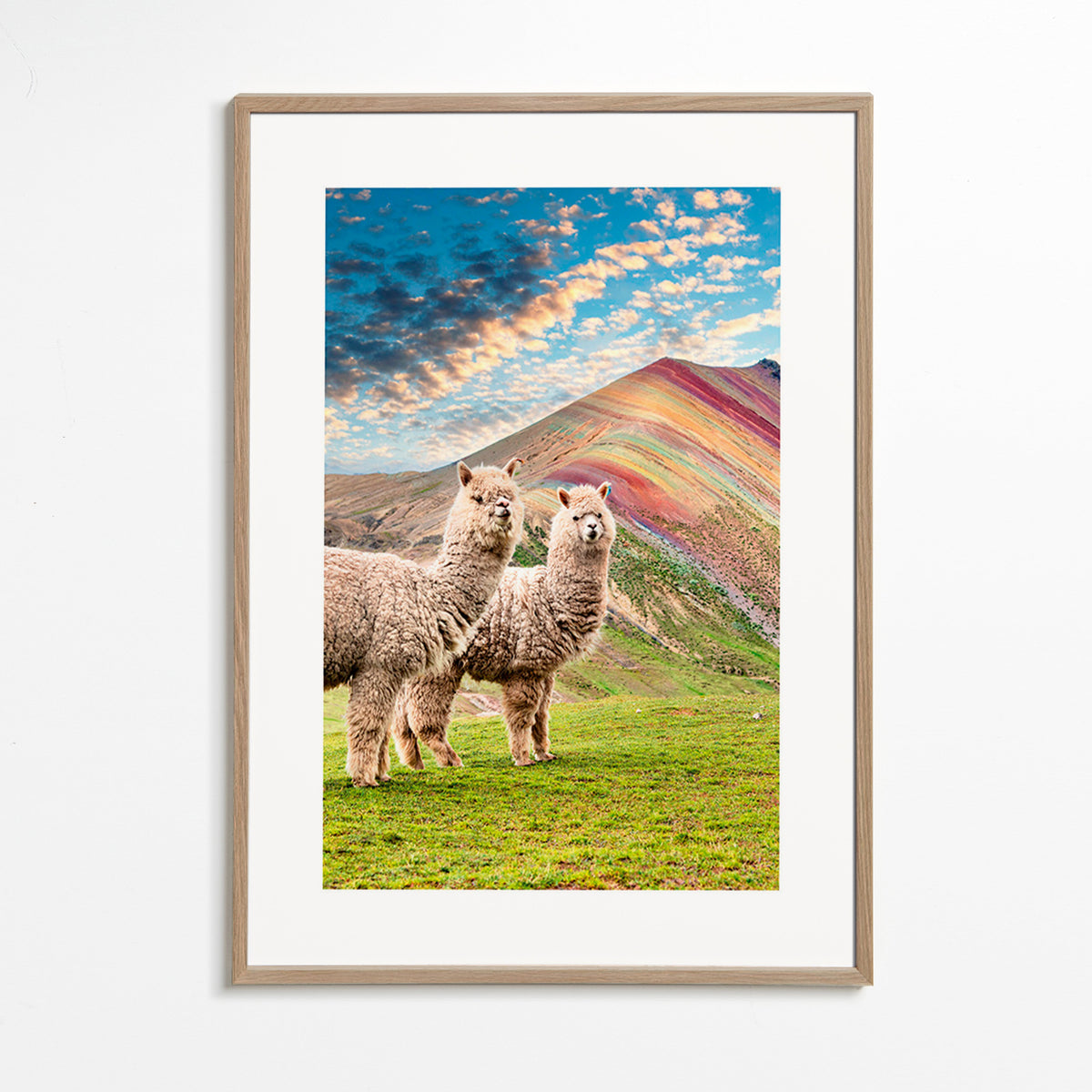 Artwork alpacas bij regenboogberg – Oak Frame